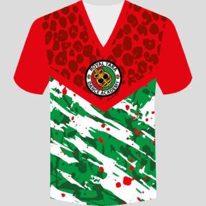 Royal Tara compression v-neck t-shirt front